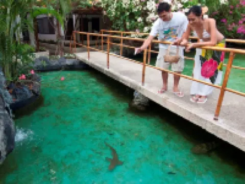 藍水馬裏巴哥海灘度假村 鄰近Freedive101的酒店