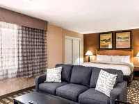 Quality Inn & Suites Plano East - Richardson Hotels in Collin County