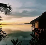 Dolphin Bay Hideaway Hotels in 