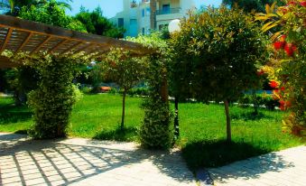 a lush green lawn with trees and bushes , as well as a wooden arbor or pergola at Apollonia Hotel Apartments