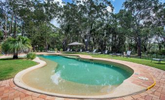 Port Stephens Koala Sanctuary