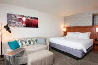Courtyard San Antonio North/Stone Oak at Legacy Hotels in San Antonio
