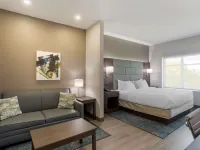 Best Western Plus Executive Residency Antioch Inn Hotels in Davidson County