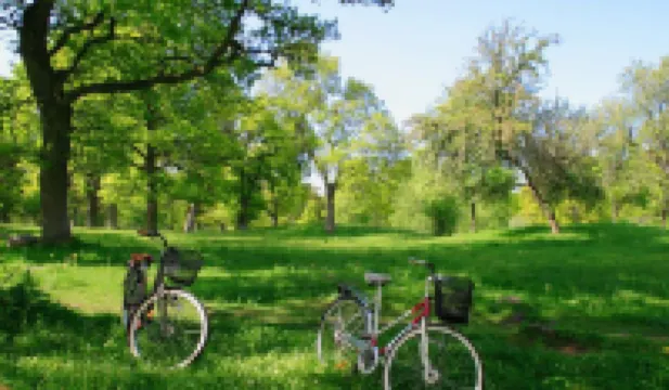 摩根山經濟旅館