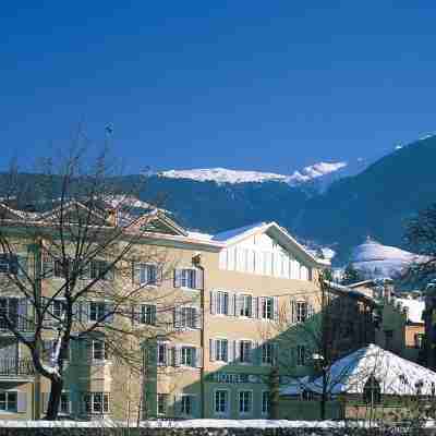 Hotel Gruner Baum Hotel Exterior