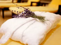 Vienna House by Wyndham Baltic Stralsund Hotels near Ruegendamm