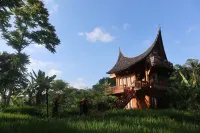 Padi Ecolodge - Wifi