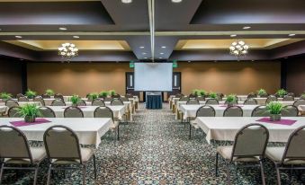 a large conference room with rows of chairs arranged in a semicircle , and a projector screen on the wall at Holiday Inn Clarkston - Lewiston
