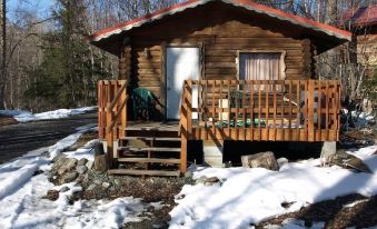 Brown Bear Saloon & Motel