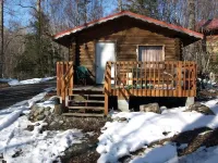 Brown Bear Saloon & Motel