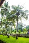 Lazy Frog Guest House - Pensions