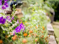 뉴트럴 베이 로지 크레몬 포인트/모스만 베이 워크 주변 호텔