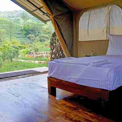 Wild Glamping Rooms