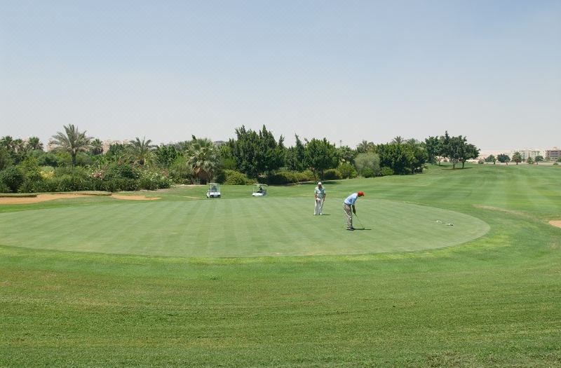 Swiss Inn Pyramids Golf Resort photo 2