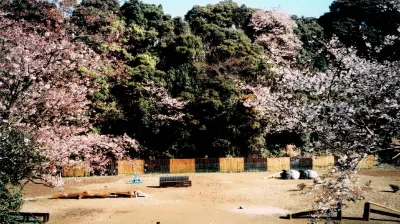 Watakanoso