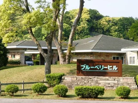 Hotel Blueberry Hill Katsuura