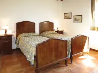 Ginestra
