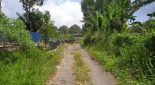 Tree Story Farm by FarmVille @ Seremban