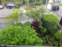 MyHavelock Town Studio Apt, with Own Pvt Gate/Parking in Main City Hotels in Colombo 05