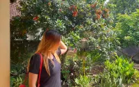 G Land Backpacker Hotel dekat KUA Kecamatan Srono