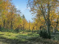 Siularinne b9 Hôtels à : Saariselka