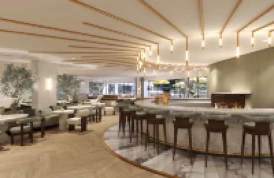 Cardo Roma, Autograph Collection