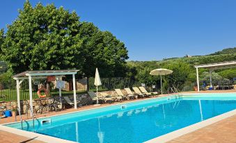 Apartment with Swimming Pool, Fenced, Toscana, wi-fi, Pets Allowed