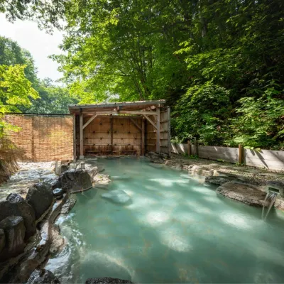 Hotels in Forest Waldberg Hotels near Zao Hotspring