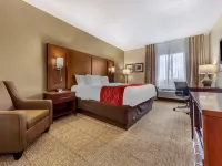 Comfort Inn & Suites Streetsboro - Kent Hotels in Streetsboro