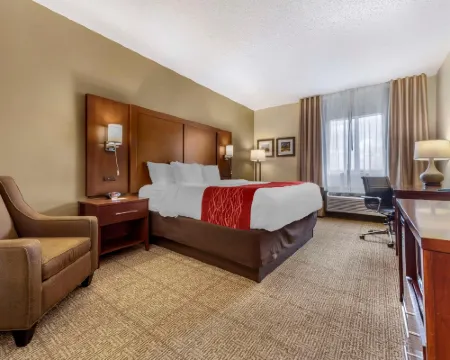 Comfort Inn & Suites Streetsboro - Kent Hotels in Streetsboro