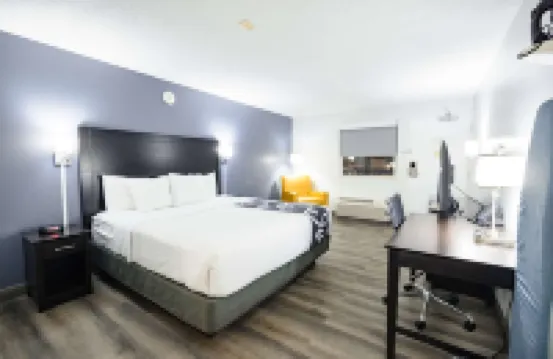 La Quinta Inn by Wyndham Tampa Near Busch Gardens