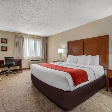 Comfort Inn Denver Southeast Area