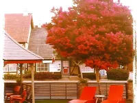 The Hamlet Inn Hotels near California Nature Art Museum