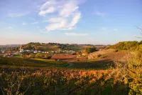 La Closerie de Fronsac - Guest houses