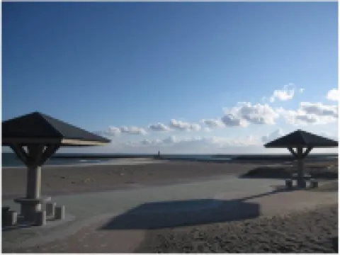 Toyohashi Station Hotel Hotels in Toyohashi