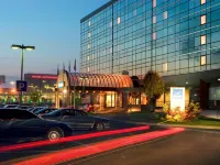 Novotel Moscow Sheremetyevo Airport Hôtels à proximité de : Ezhi Monument