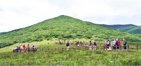 Inje Gombaeryeong Evergreen Pension Отели рядом с достопримечательностью «Сораксан»