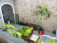 Kuku Ruku Hotel Hotels near Historic Center of Santiago de Querétaro