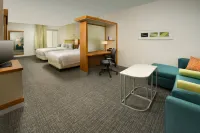 SpringHill Suites Bridgeport Clarksburg Hoteles en Bridgeport
