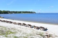 Quality Inn & Suites Gulf Breeze Bayside Near Pensacola Beach Hotels in Gulf Breeze