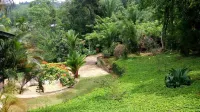 Tea Leaf Retreat Hotels in Gampola / Gelioya