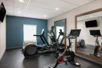 Hampton Inn & Suites Fort Myers Beach/Sanibel Gateway - Gym