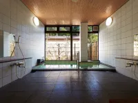 Matsumotoya Hotels in Ibigawa