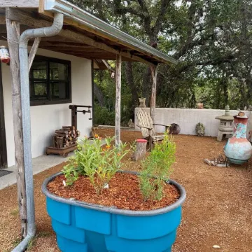 Quiet Studio located on 110 acre ranch with walking trails