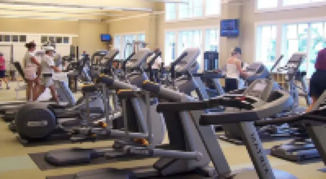 Breathtaking Salt Marsh Views & Sunsets & Kayaking with Dolphins