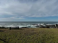 NEW LISTING! Fantasea! Enjoy dramatic crashing waves, fireplace, dog friendly!