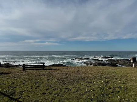 NEW LISTING! Fantasea! Enjoy dramatic crashing waves, fireplace, dog friendly! Отели рядом с достопримечательностью «Яхайк Трейл»