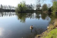 Comfortably furnished apartments, barrier-free with a large terrace on the lake