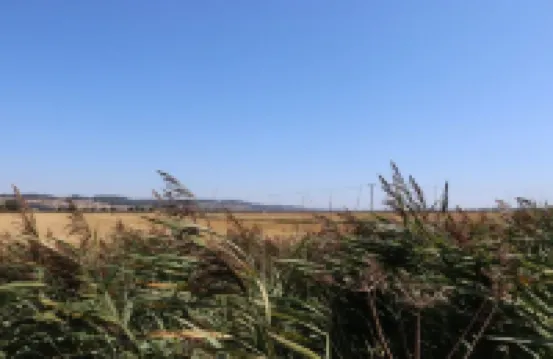 Studio With Uninterrupted Views Of Romney Marsh. Visit Rye Hythe and Canterbury