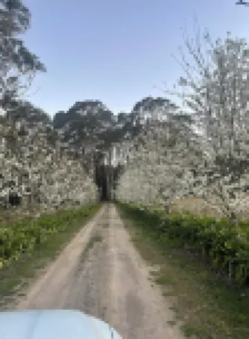 Misty farm in the mist in the hills among the wild life and the stars at night Hotels in Robertson